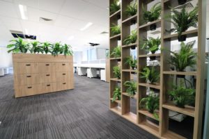 greenery in office