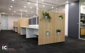 Timber Partitions