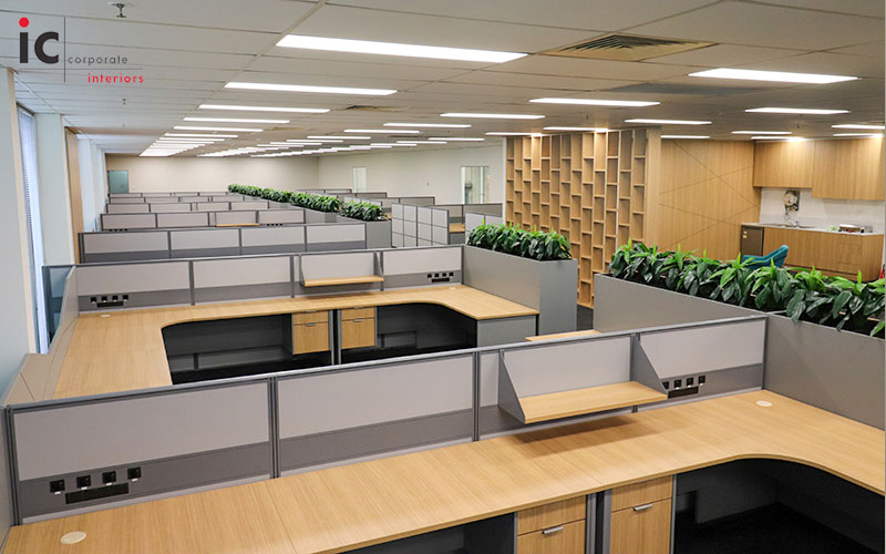 Wooden workstation fitout with desk partitions and indoor greenery