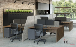 Acoustic workstation panel dividers in modern office fitout
