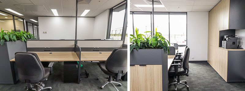 Modern office with wooden furniture and plants in an office